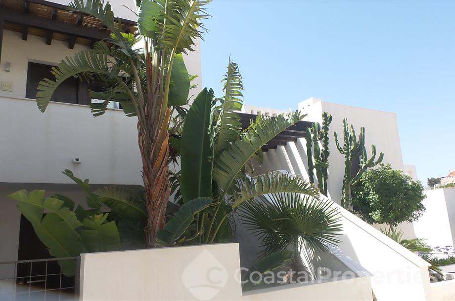 Macenas, Los Patios LVII: Apartment for Rent in Mojácar, Almería Macenas, Los Patios LVII: Apartment for Rent in Mojácar, Almería