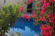 Casa Margarita: Villa for Rent in Almería, Almería