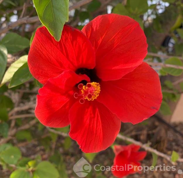 Casa Margarita: Villa en alquiler en Almería, Almería Casa Margarita: Villa en alquiler en Almería, Almería