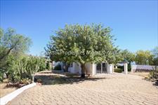 Casa Anita: Villa en alquiler en Mojácar, Almería