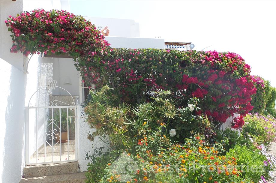 Los Llanos 3: Apartment for Rent in Mojacar, 2 Los Llanos 3: Apartment for Rent in Mojacar, 2